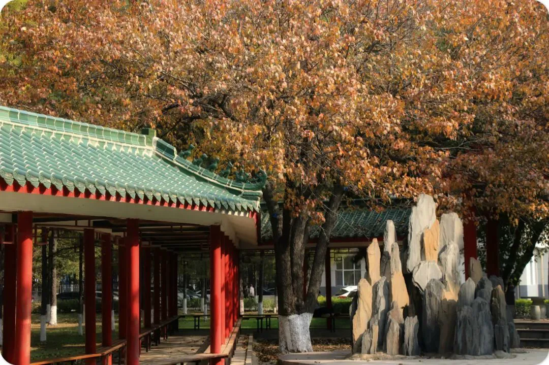 如何借助云计算技术提高篮球运动员的表现_2